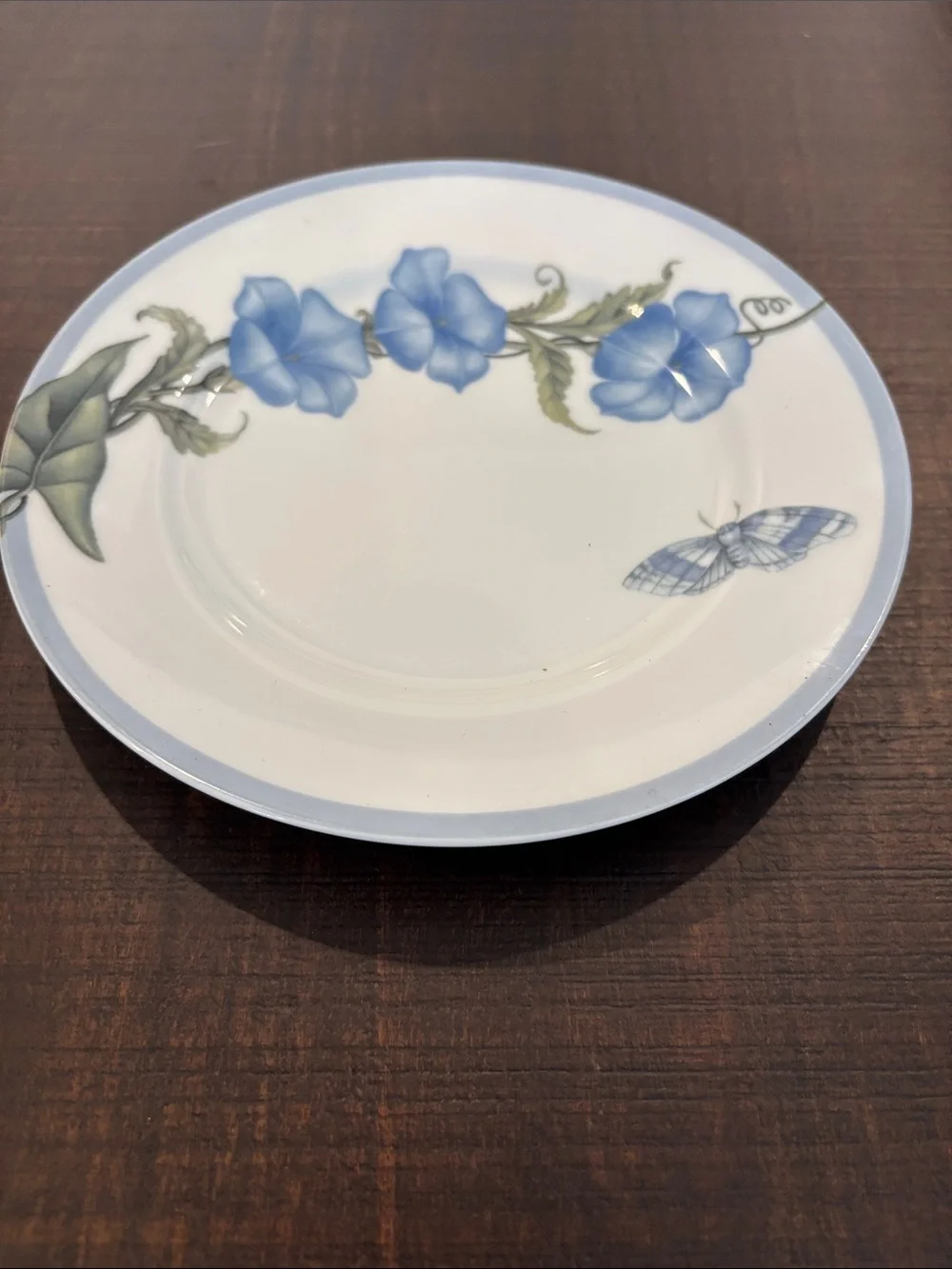Williams Sonoma Summer Studies Salad Plates Set of 6 Morning Glory Botanical Mad
